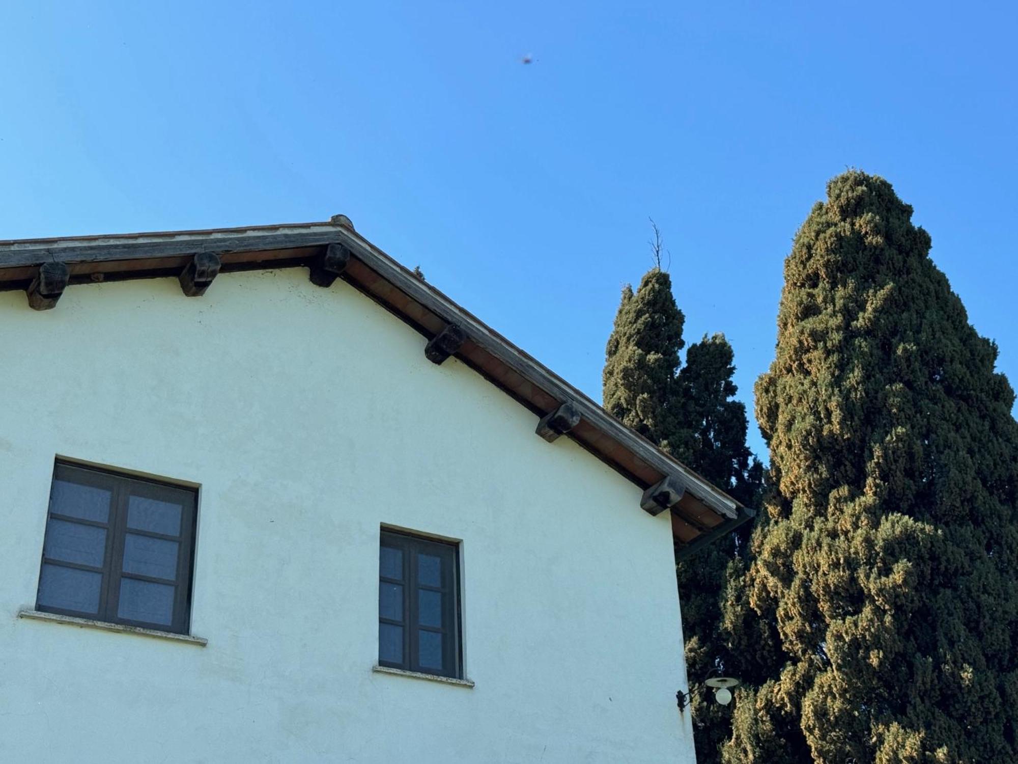 Orvieto Country House Castiglione In Teverina Zewnętrze zdjęcie