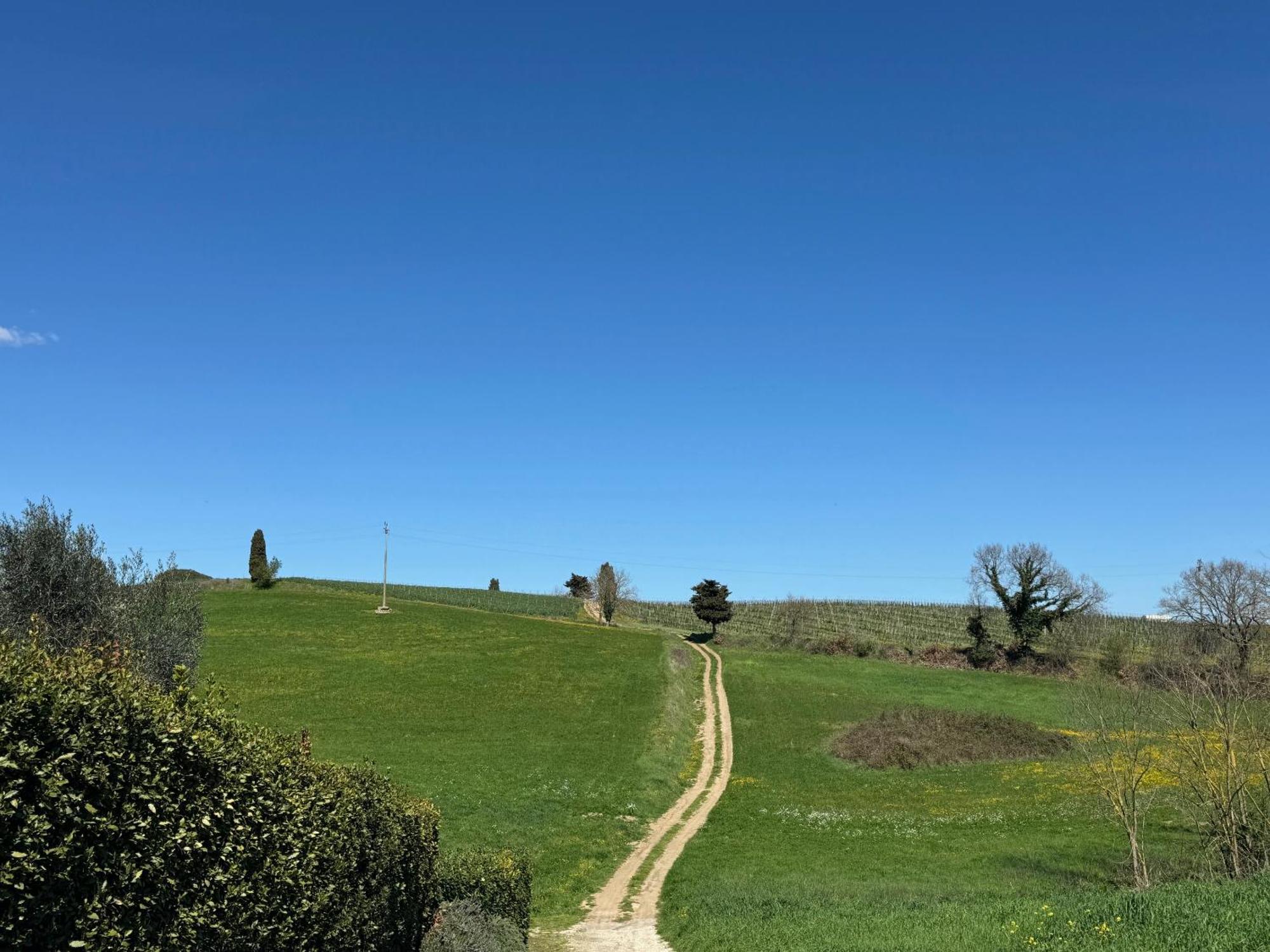 Orvieto Country House Castiglione In Teverina Zewnętrze zdjęcie