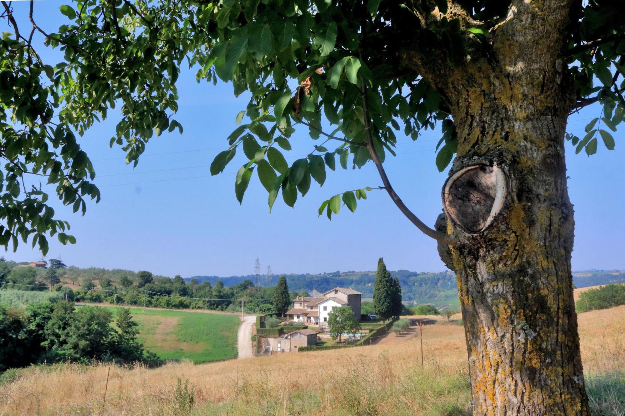 Orvieto Country House Castiglione In Teverina Zewnętrze zdjęcie