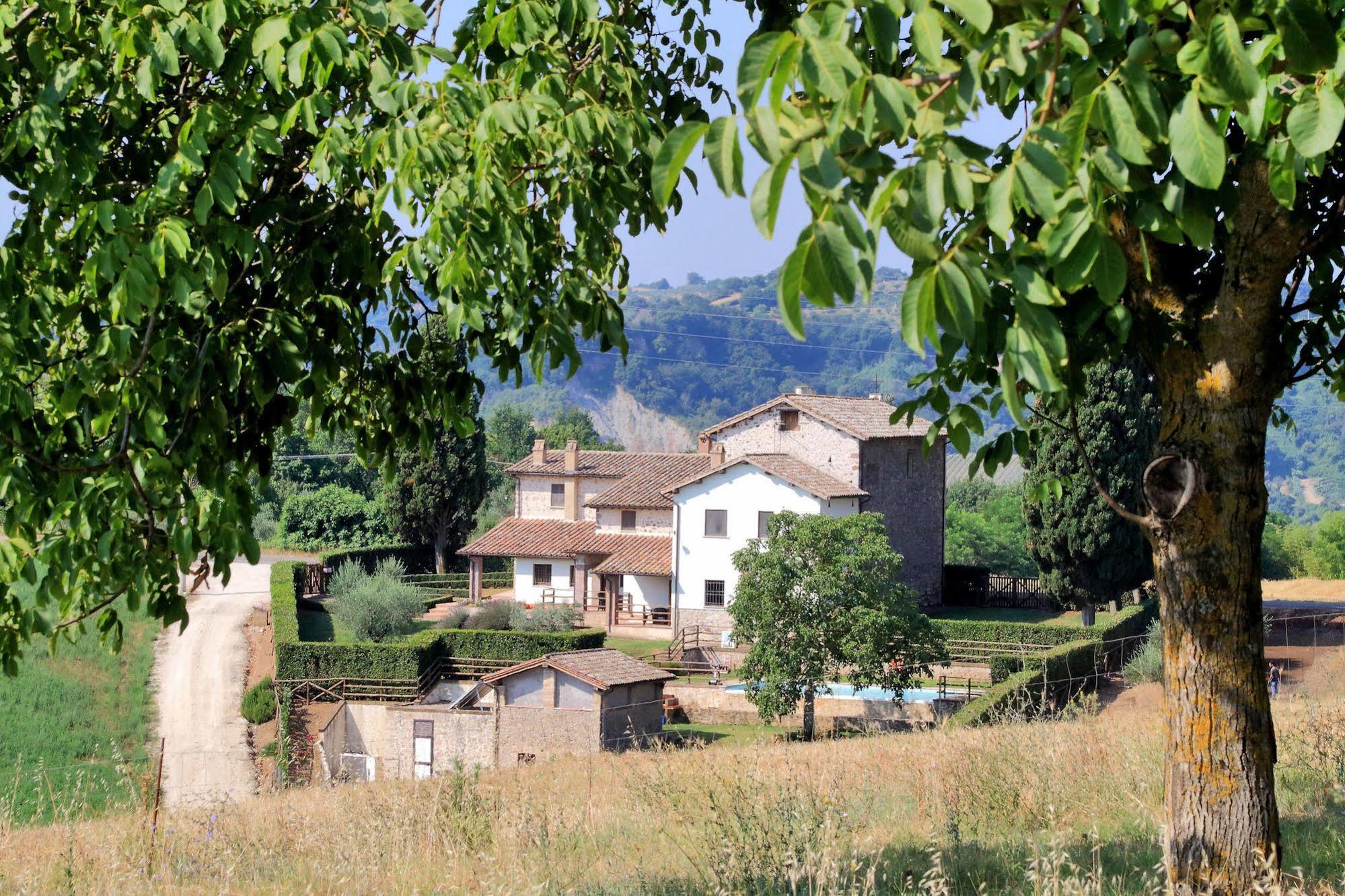 Orvieto Country House Castiglione In Teverina Zewnętrze zdjęcie