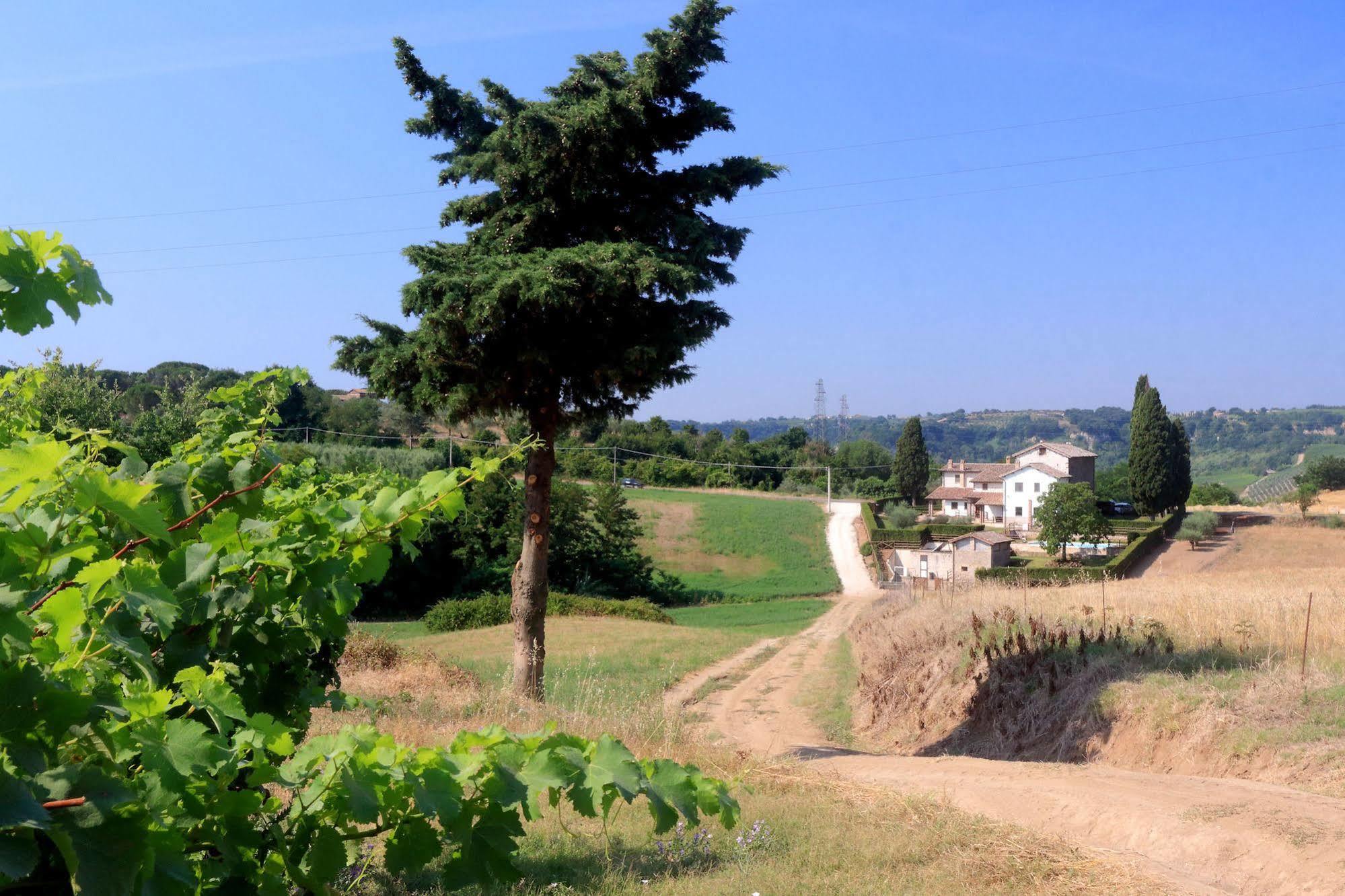 Orvieto Country House Castiglione In Teverina Zewnętrze zdjęcie
